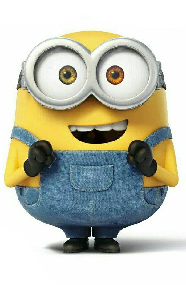 Bob