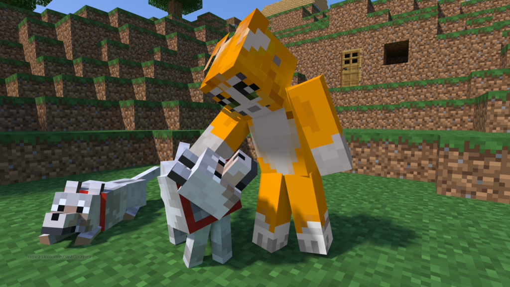 stampy cat quiz