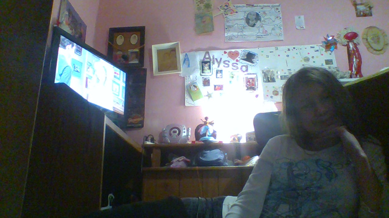 what is your sperit animal