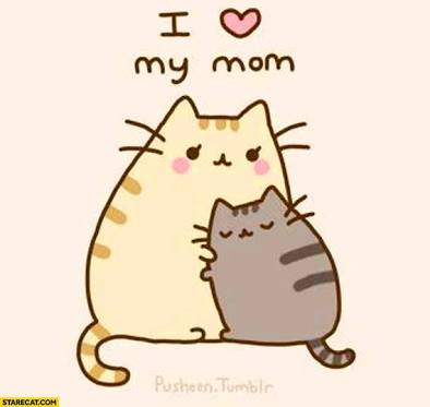 How well do you know mums?