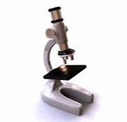 Microscope Parts and Functions