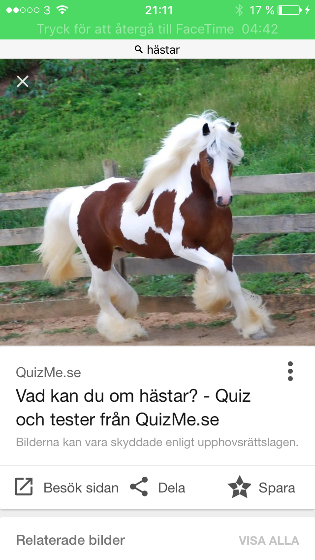 Hästens färger123 quiz