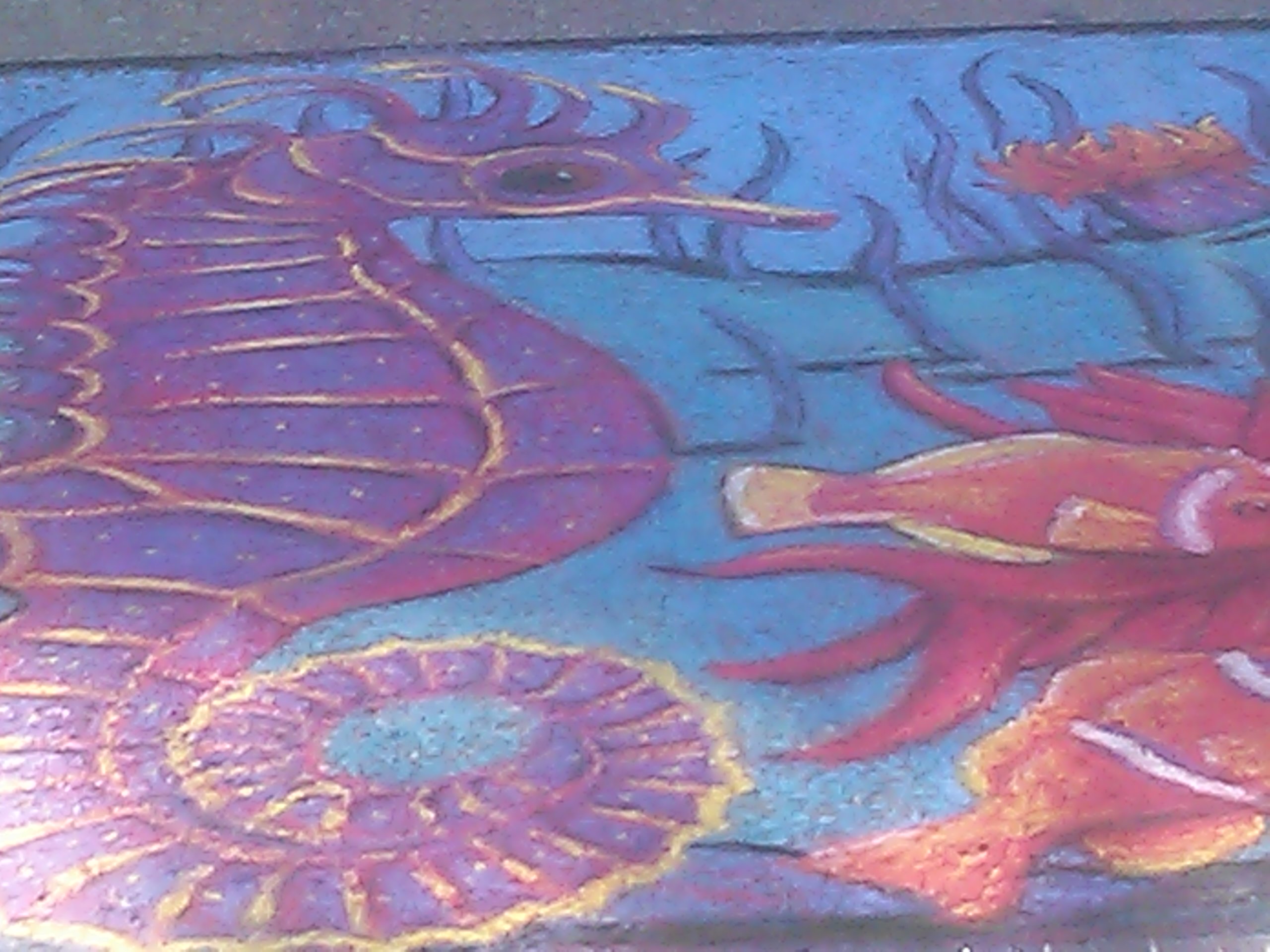 sea horse or fish?