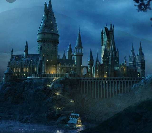 Lucy’s Hogwarts quiz