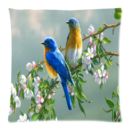 are you a early bird?