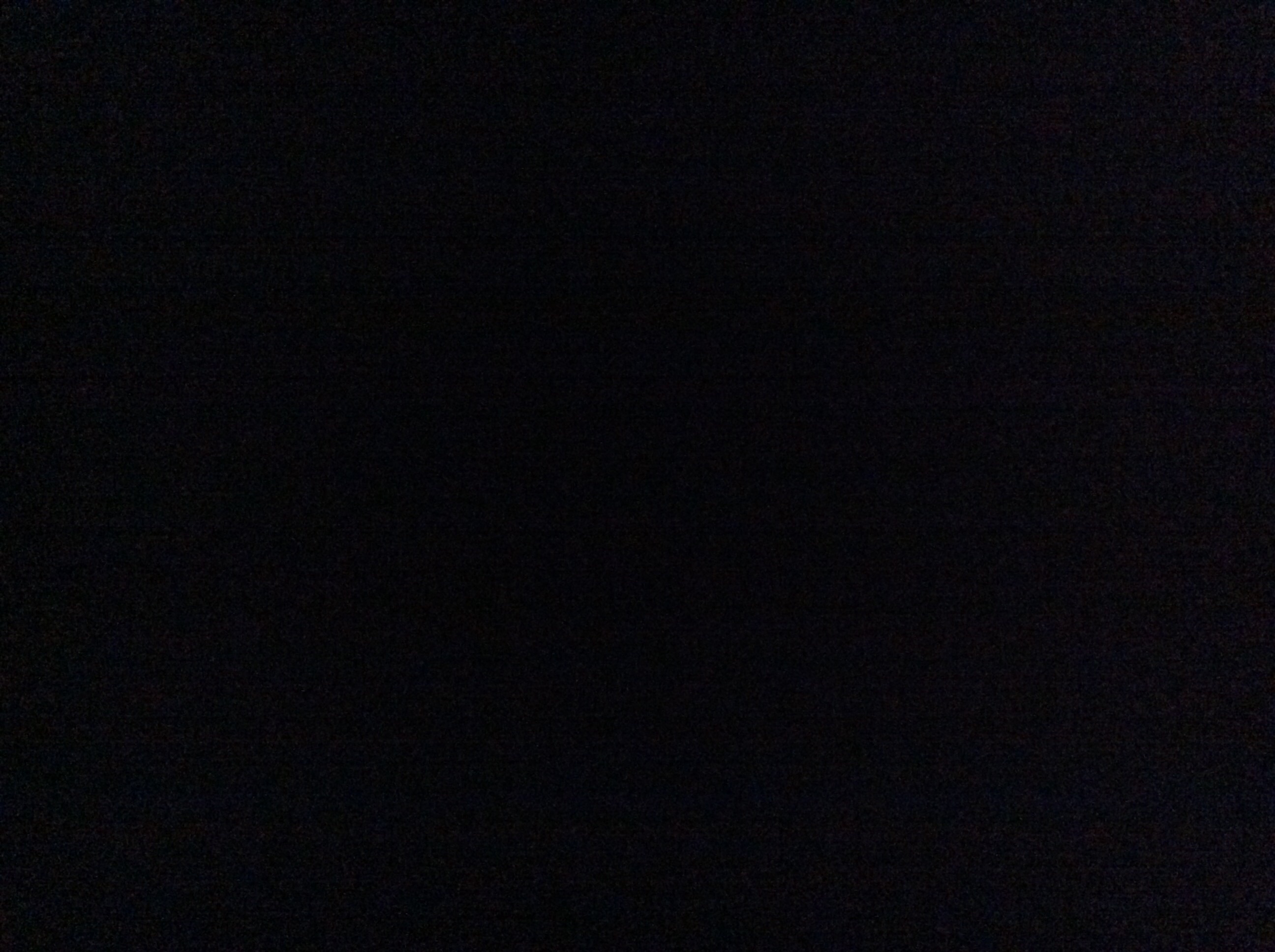 Är du dum i huvudet