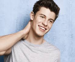 Do you love shawn medas