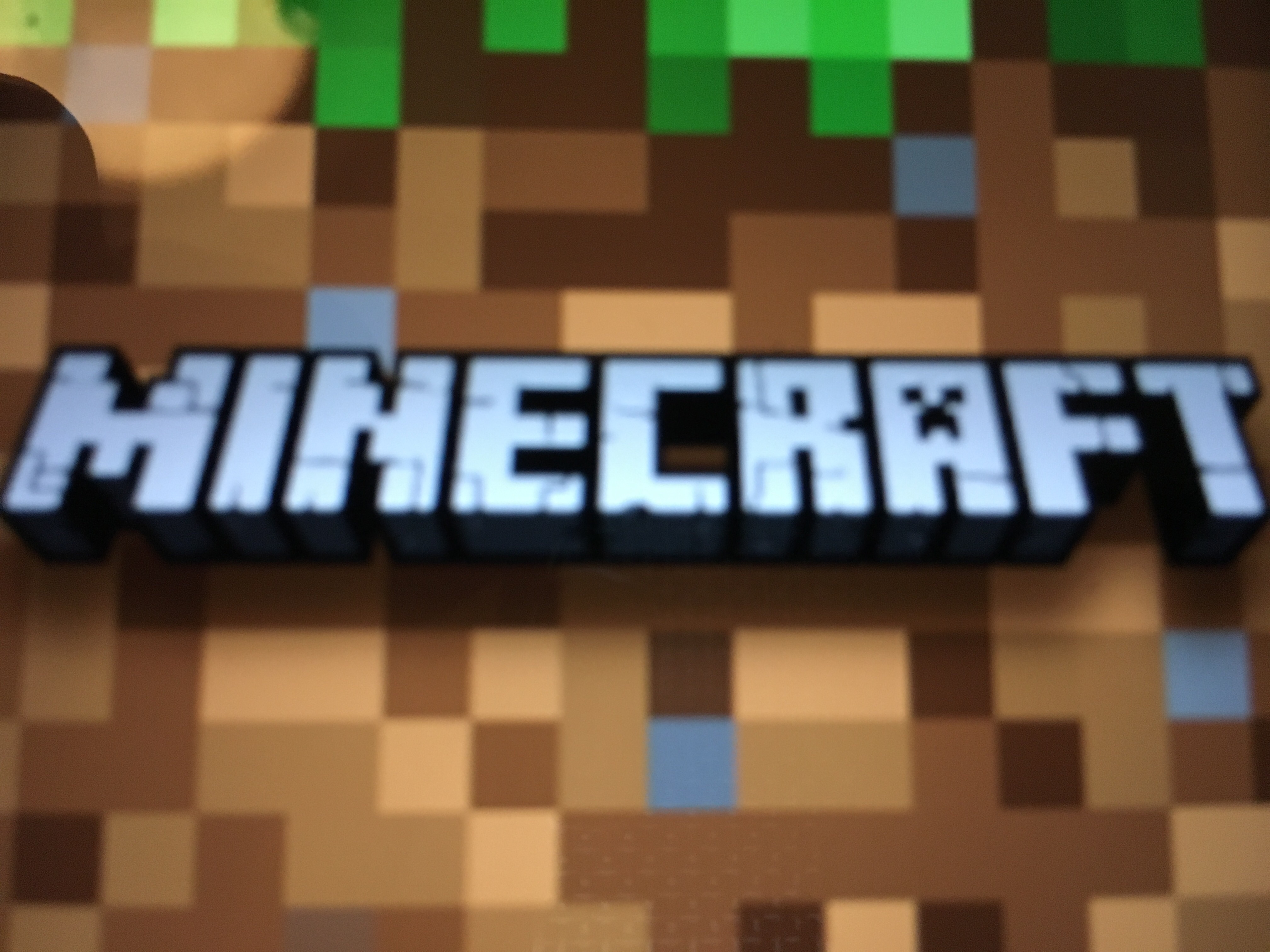Vad kan du om minecraft?