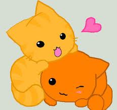 Are you a cat or dog?