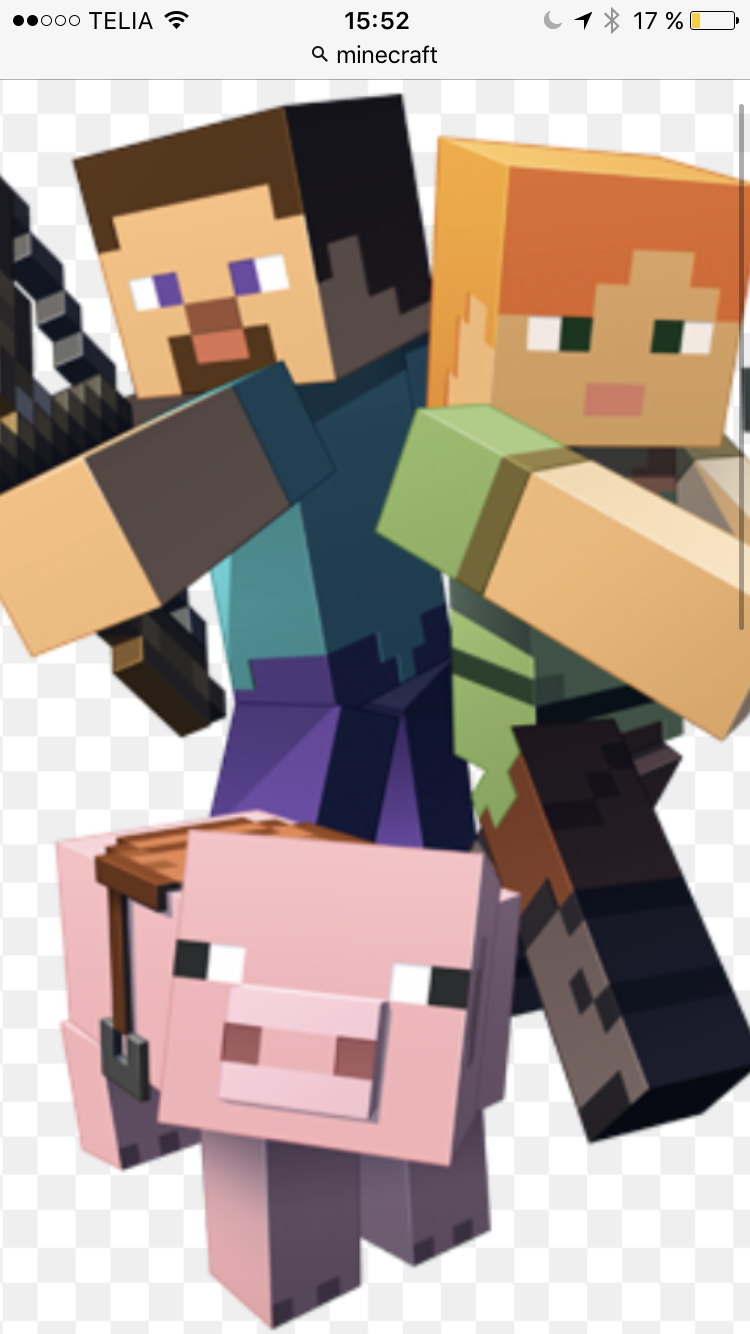 Minecraft quizet