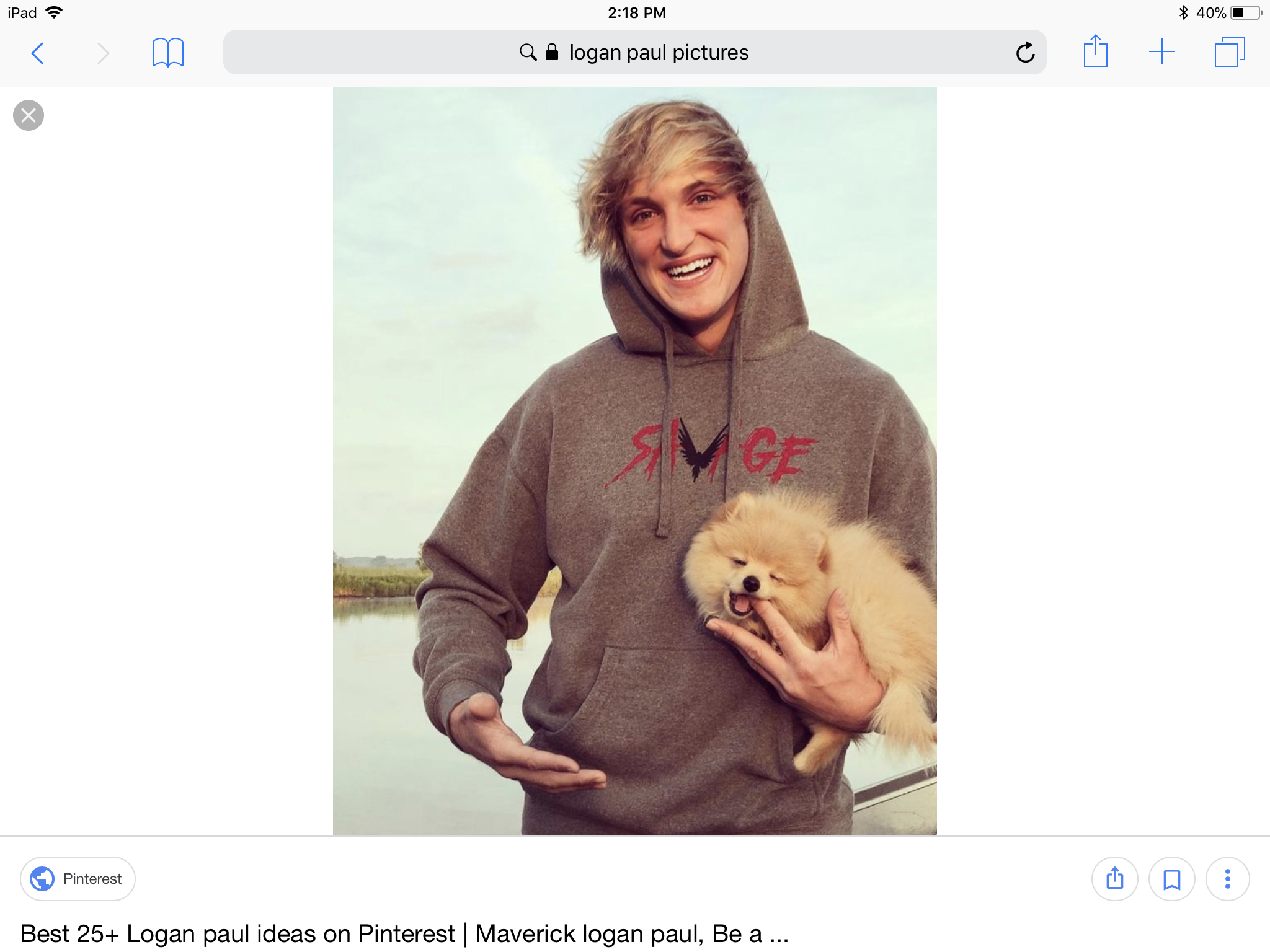 How well do you know Logan Paul?