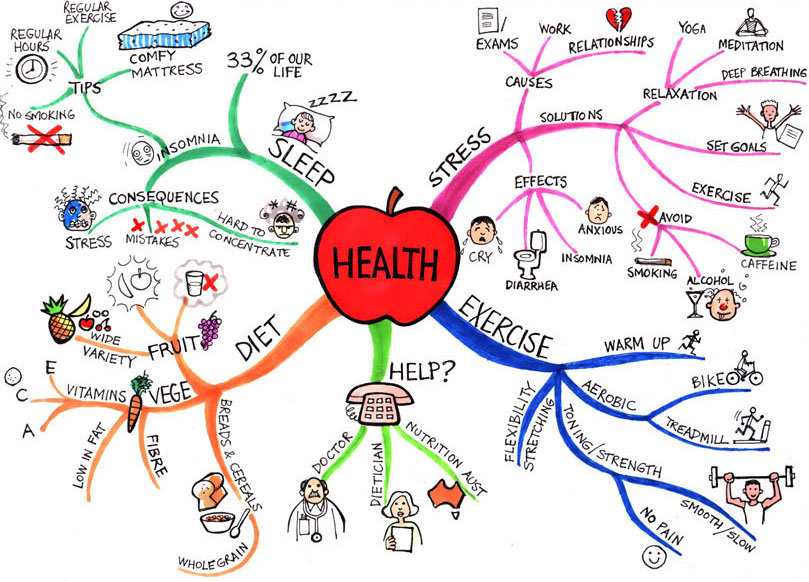 Health and Human Development Quiz
