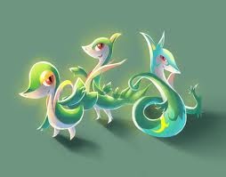 pokemon