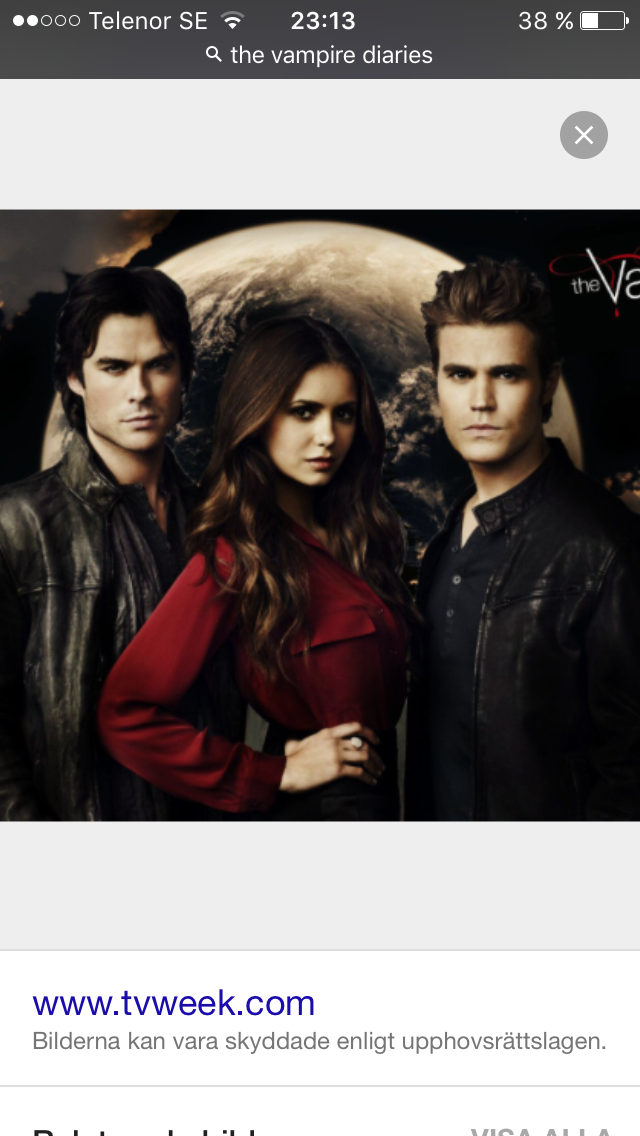 Vem är du i the vampire diaries?