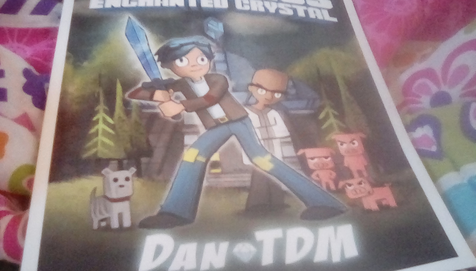 The Dantdm Quiz