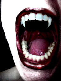 Vampyr?