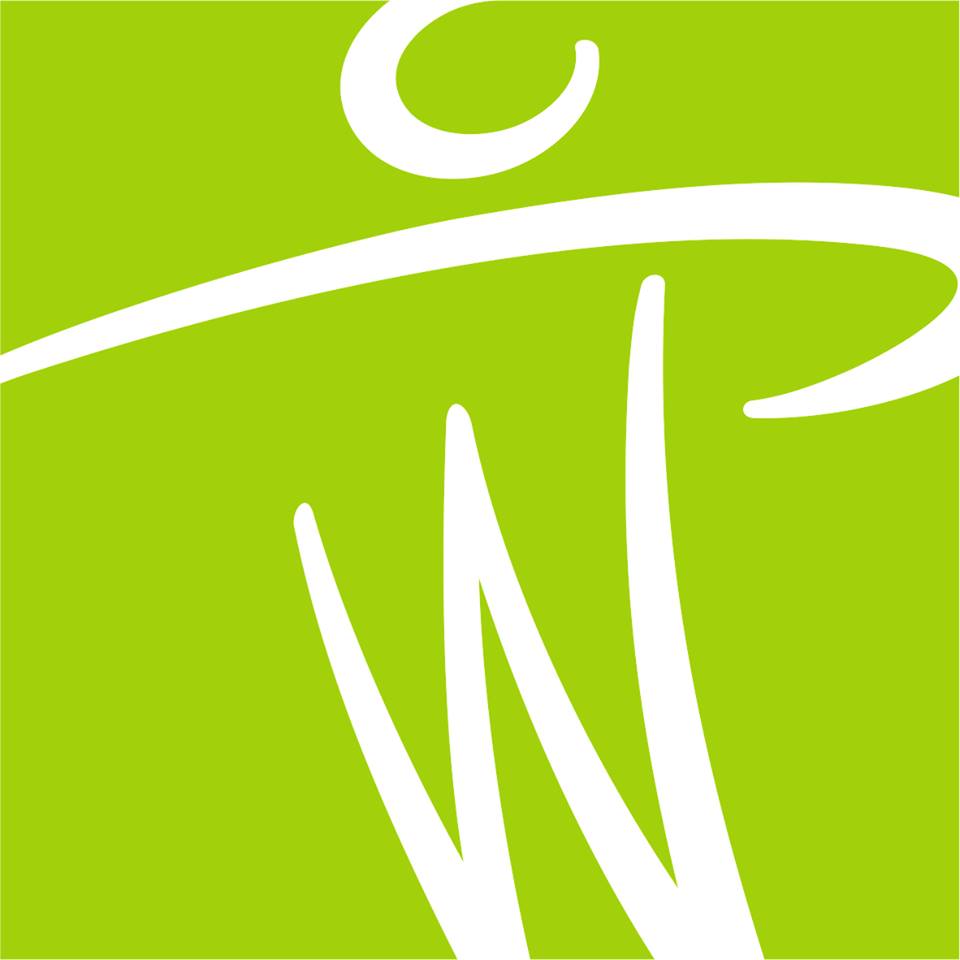 WiPsy Weihnachtsquiz 2017