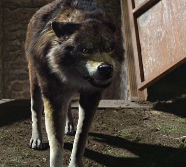 wolfblood (2012) medium quiz