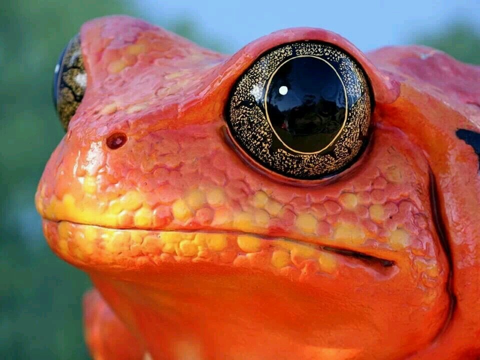Är Challe Dvärg