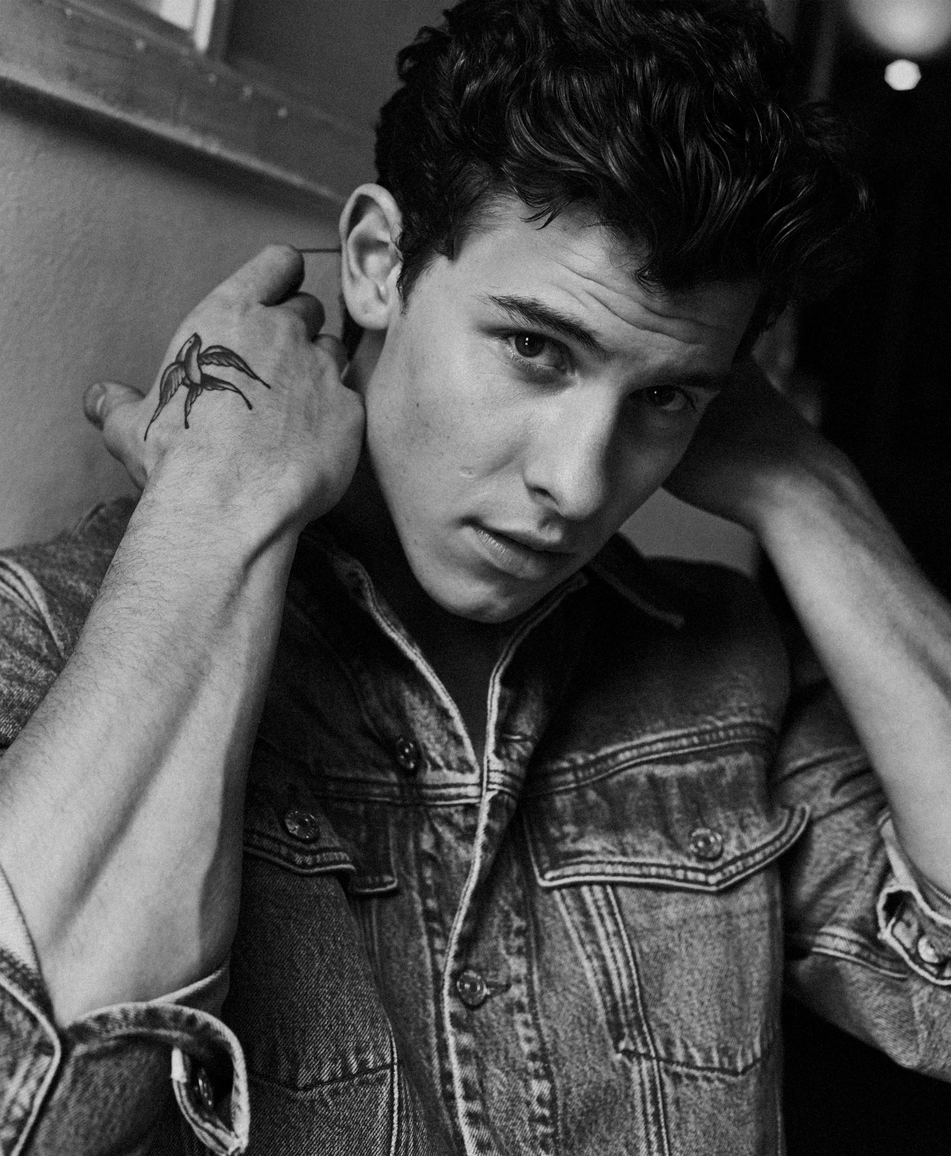 How well do you know Shawn Mendes?