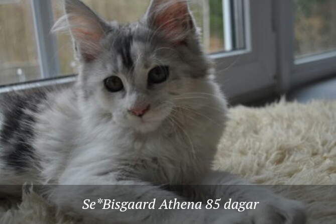 Katter💖!💖!💖!