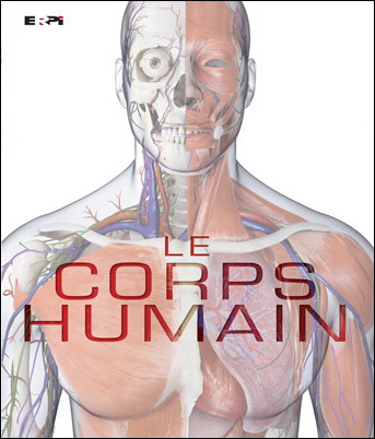Les systèmes du corps humain