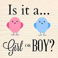 Will your first child be a girl or boy?