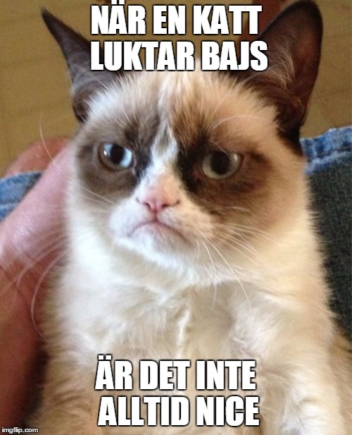 Hur rolig är du?