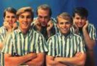 Vad kan du om Beach Boys?
