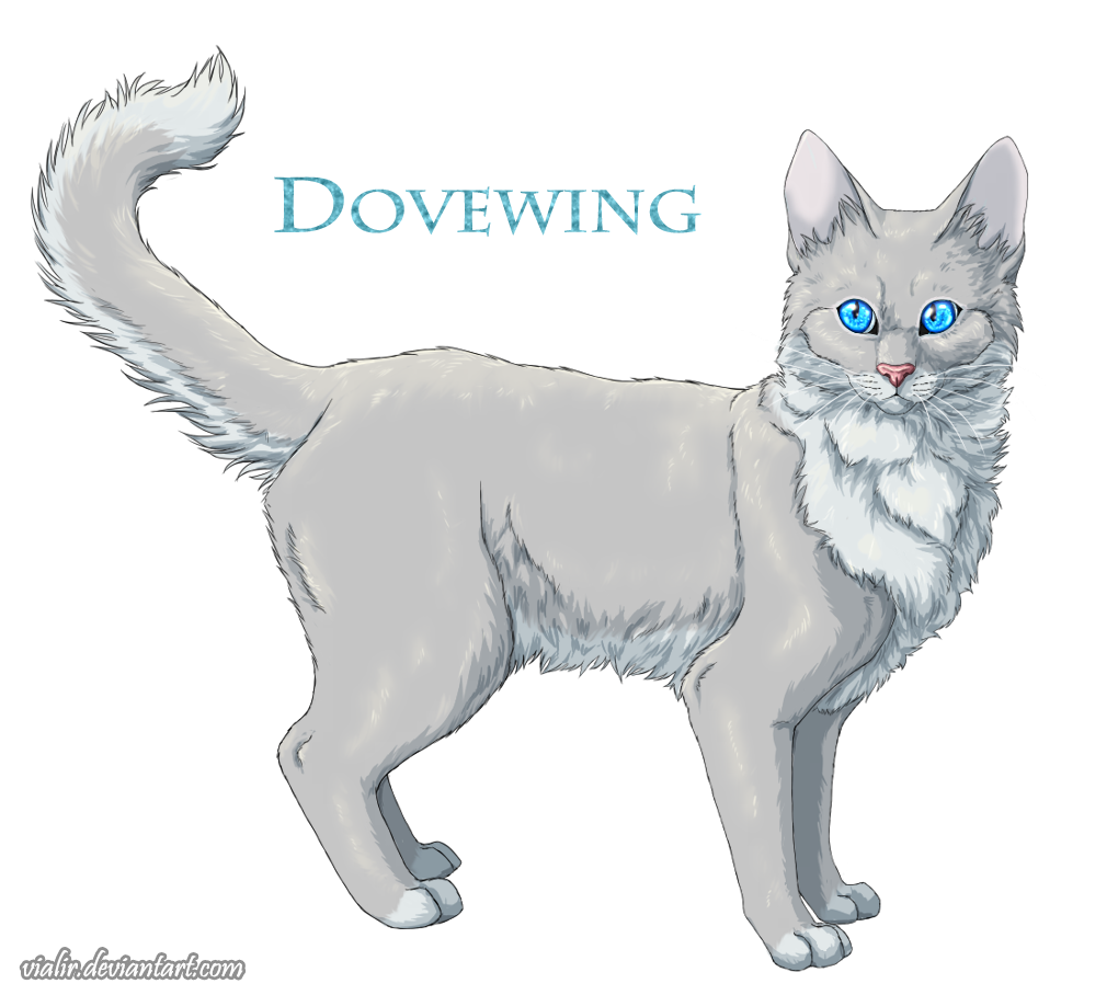 Which Warrior Cat Are You?