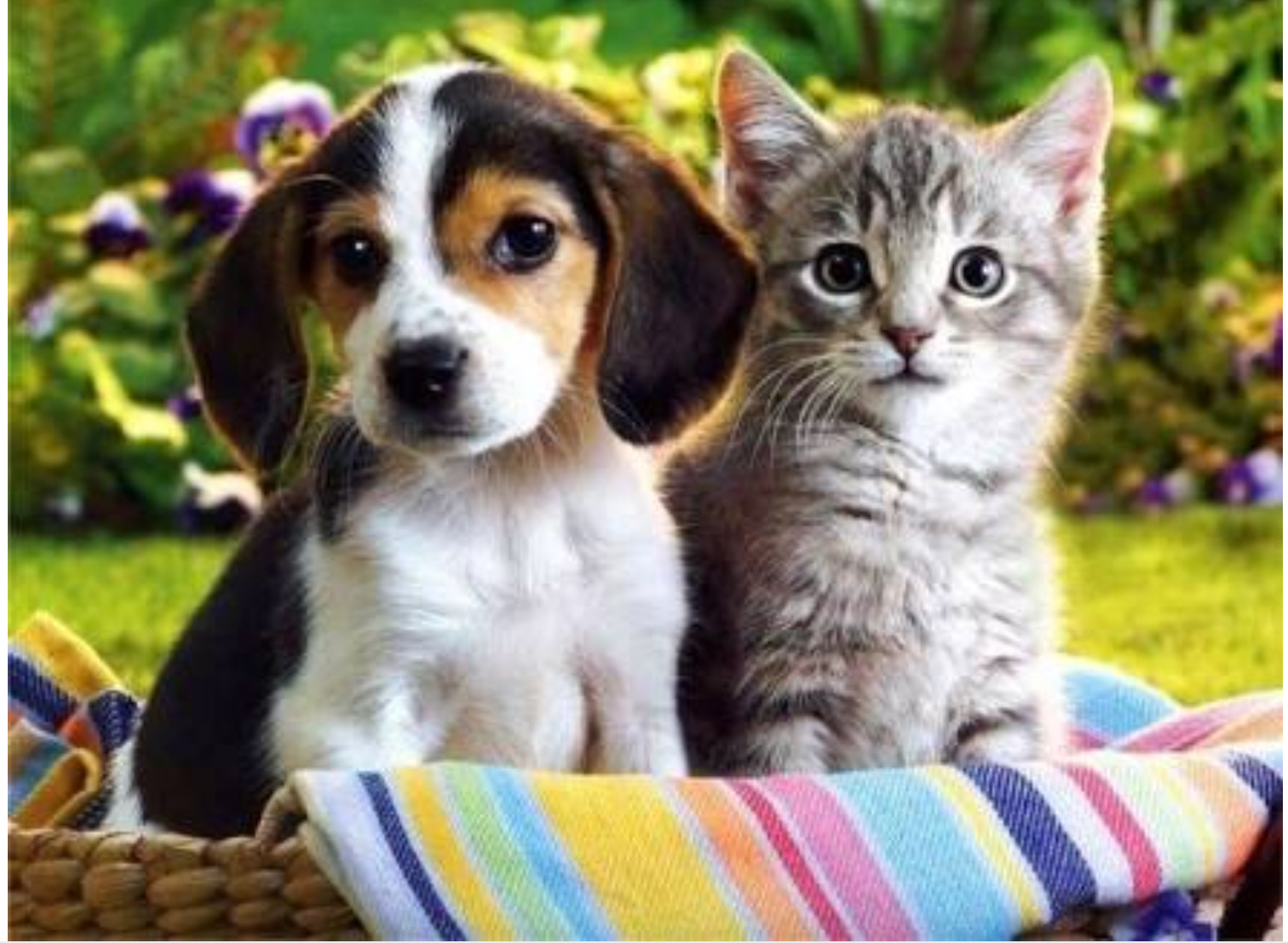 How to be the best friend