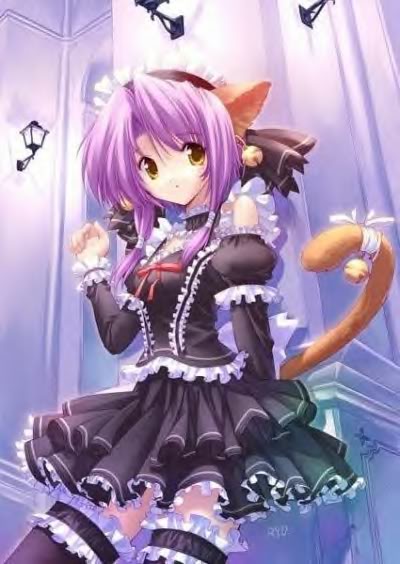 kitty or nitty