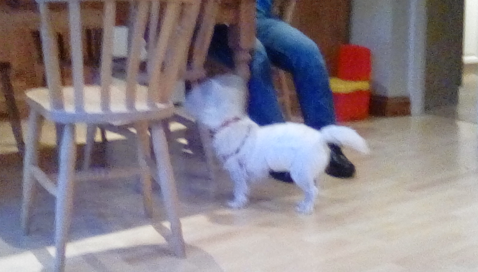 What emoji are you