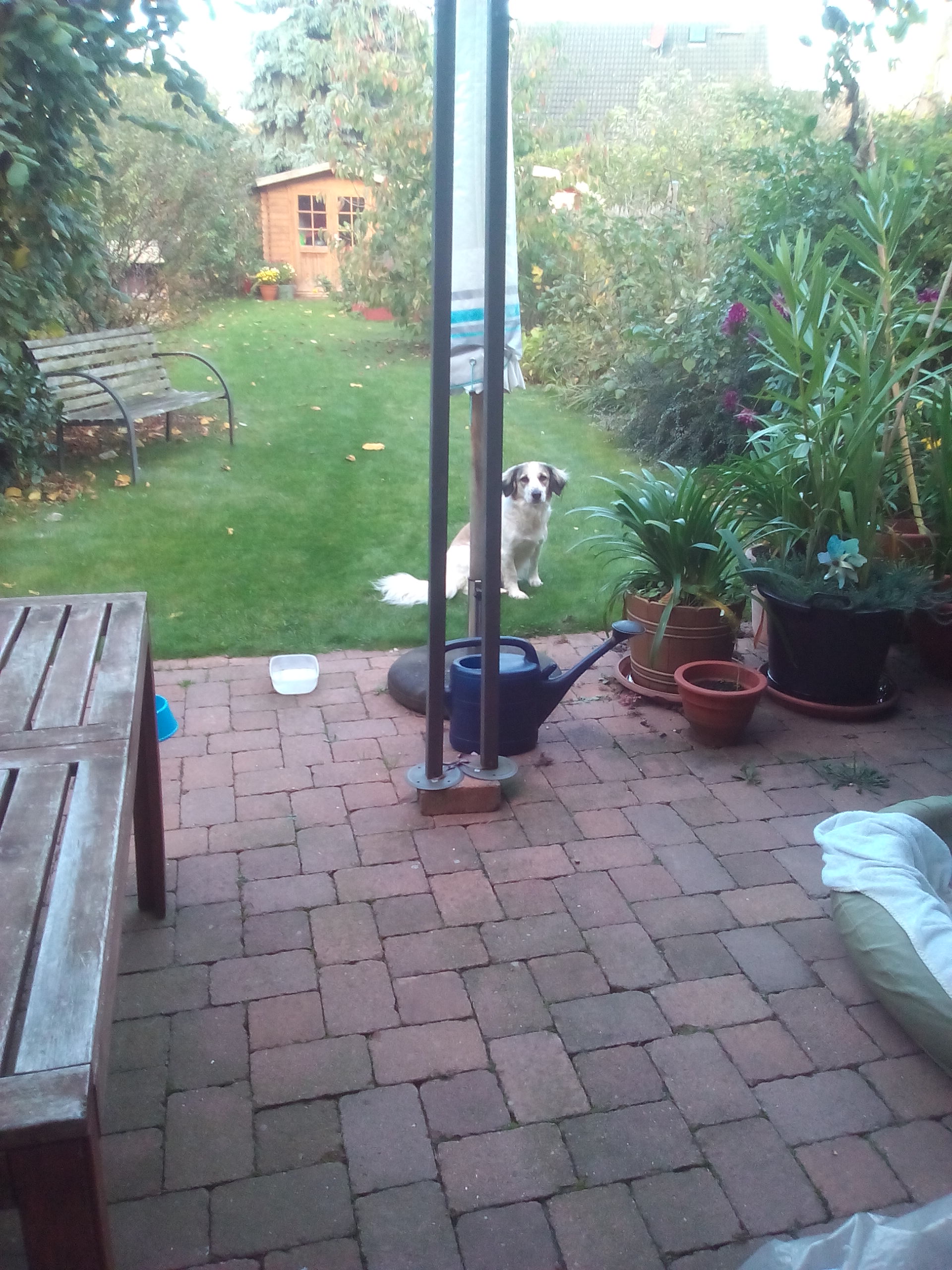 Wie gut kennst du Lilly?