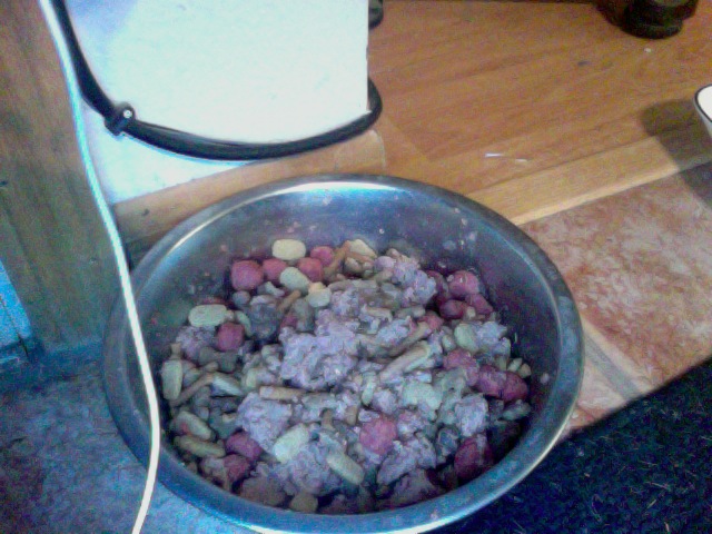 is this yucky or good?