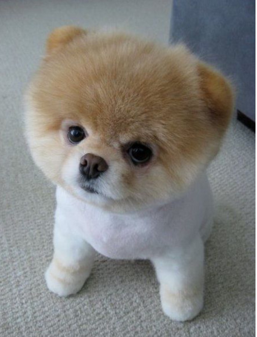 Your favorite things