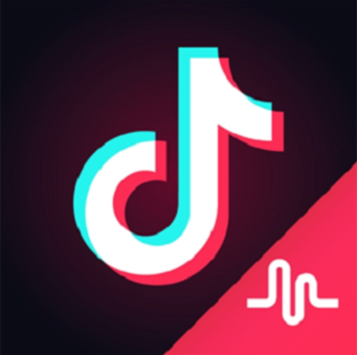 Vad kan du om tik tok