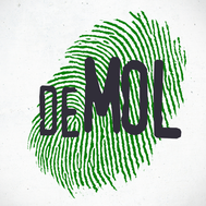 Wie is de Mol C1