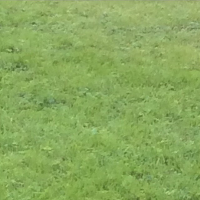 Är du hälsosam