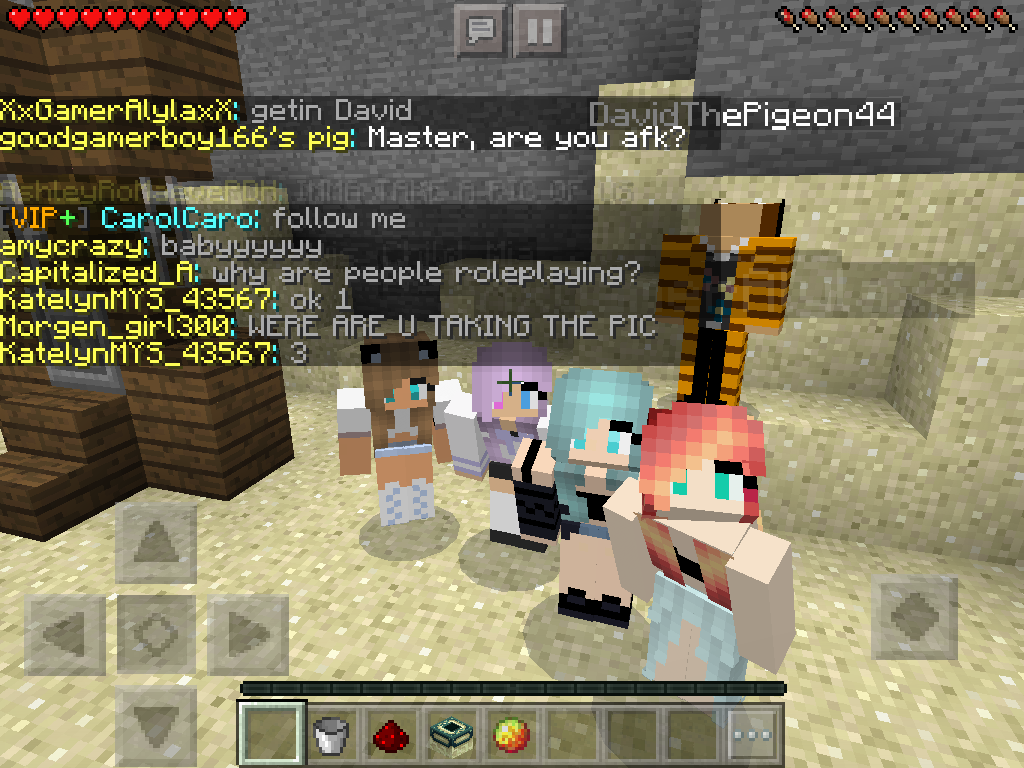 Which Minecraft Diaries has a crush on you