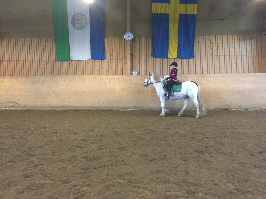 Vill du bli ryttarna?
