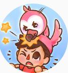 Flamingo quiz
