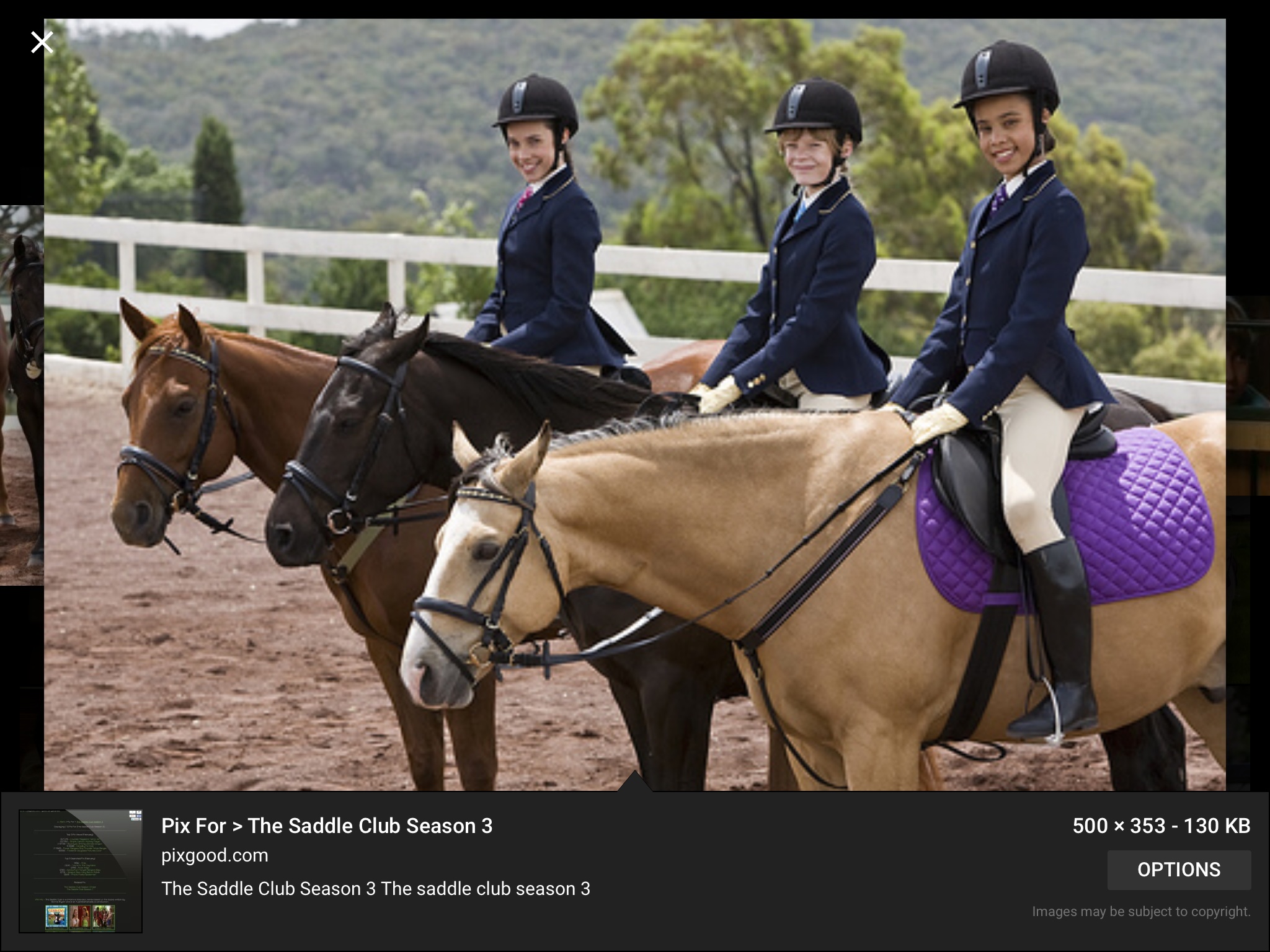 Show jumping