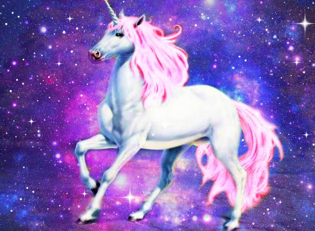 Are you a Unicorn ‼