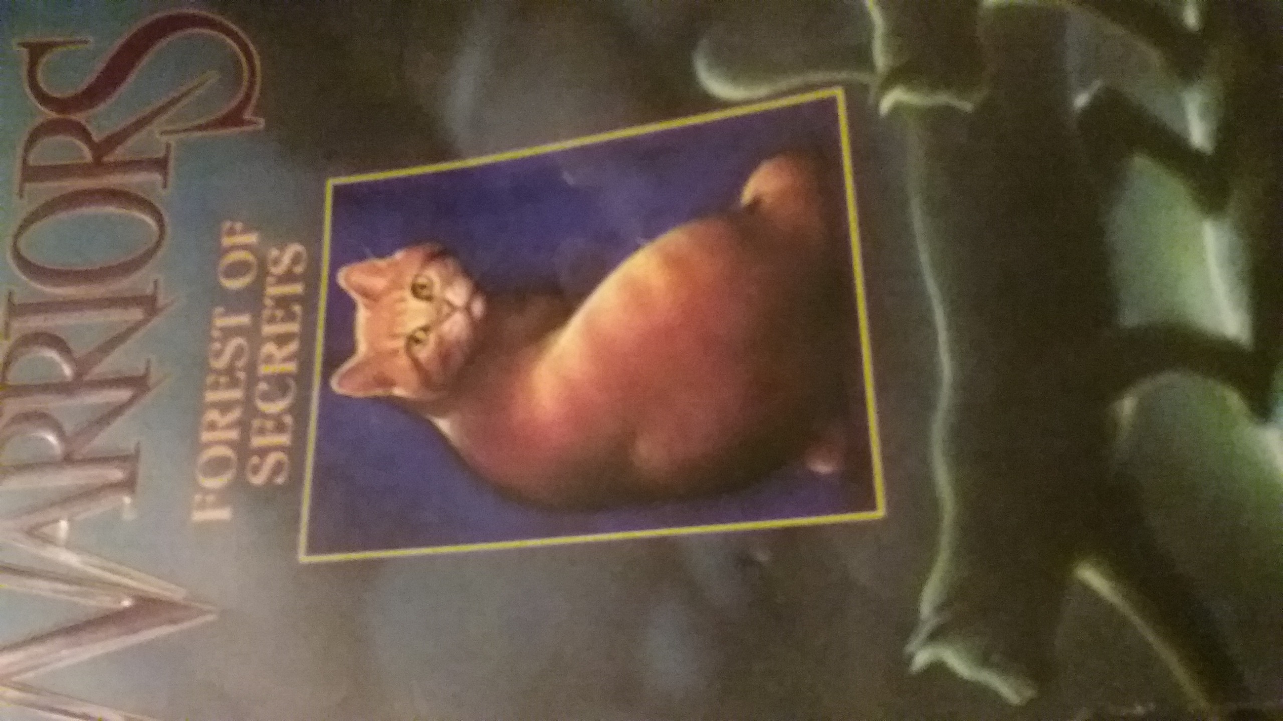 Warrior Cats: Original Series Quiz: Forest of Secrets