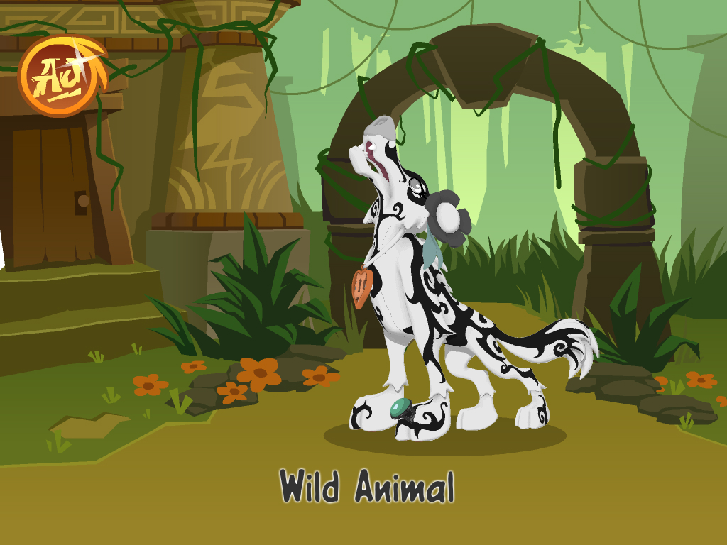 Animal jam quiz