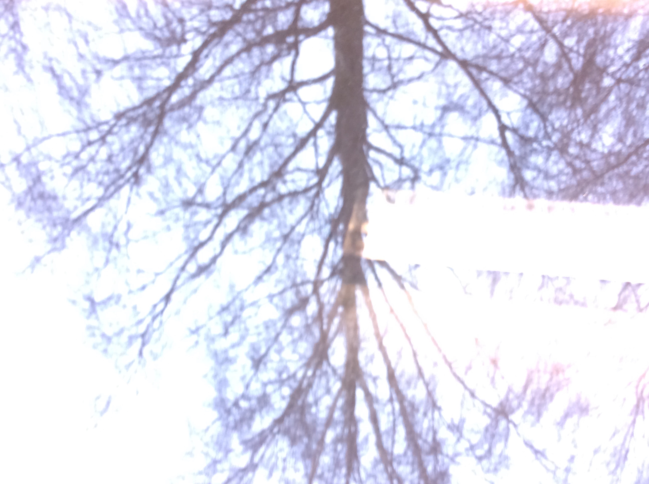 Tvtvtvtvtvt