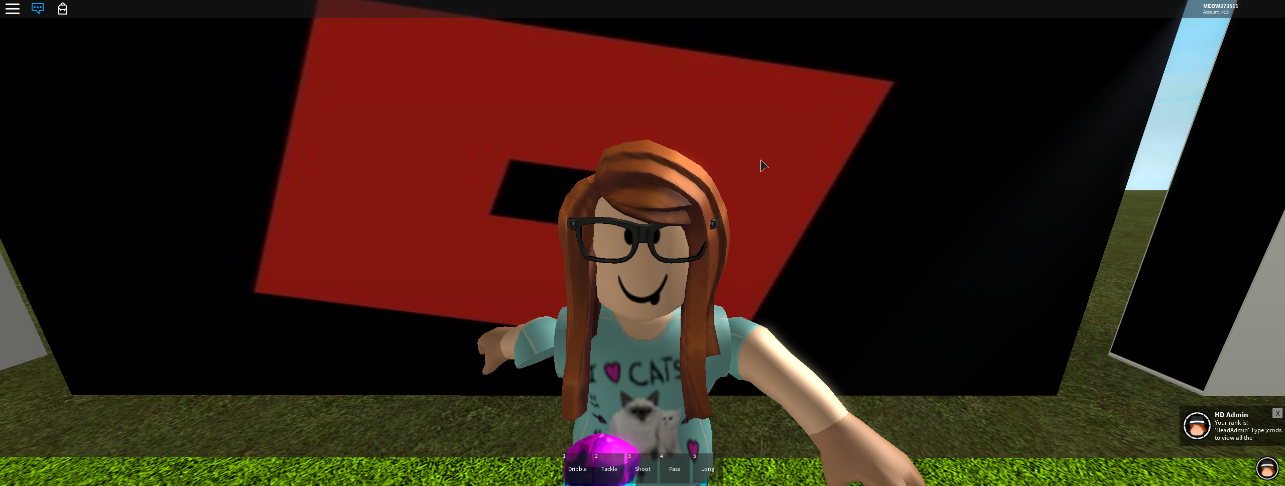 do u like roblox