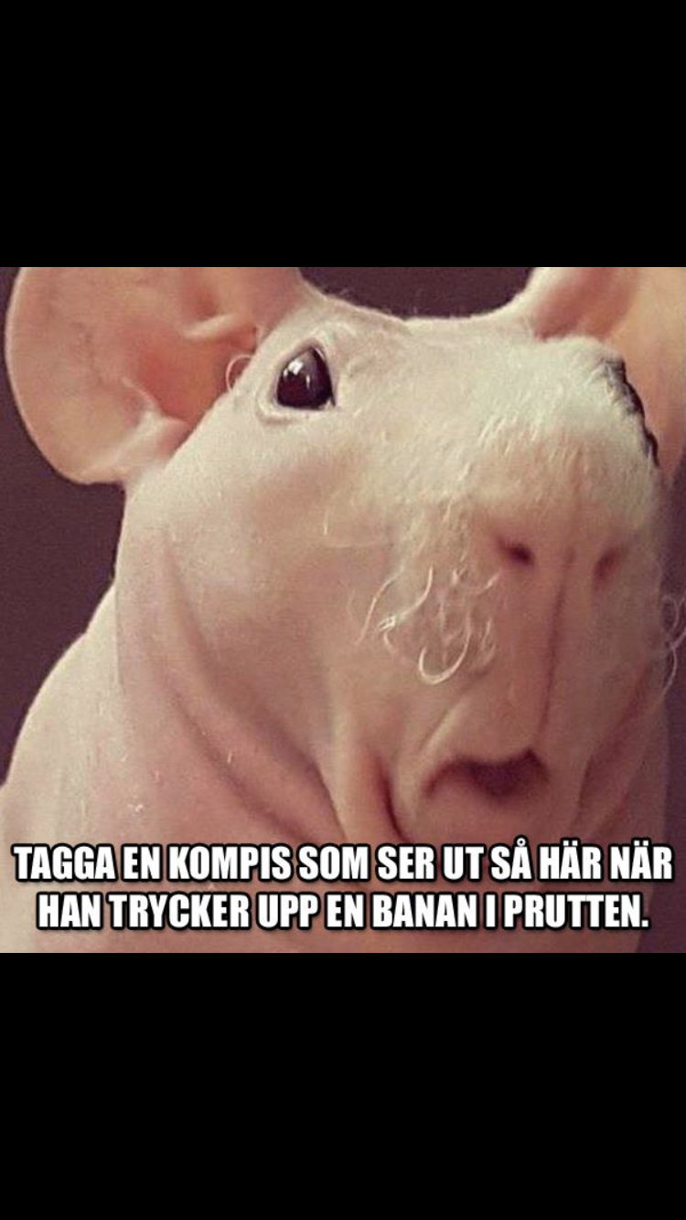 Vad kan du om Jocke & Jonna