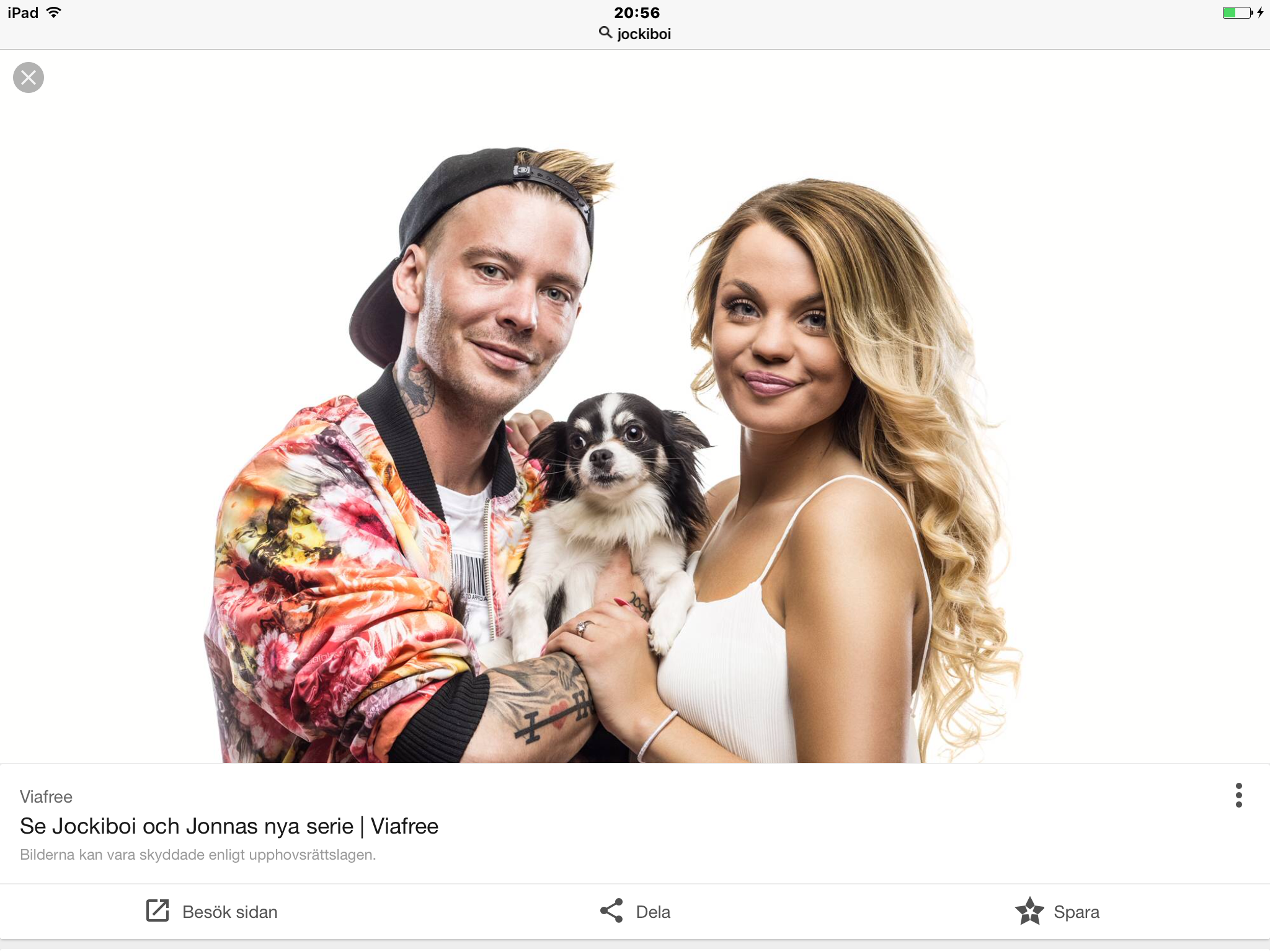 Vad vett du om youtuber